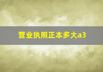 营业执照正本多大a3