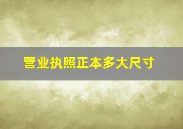 营业执照正本多大尺寸