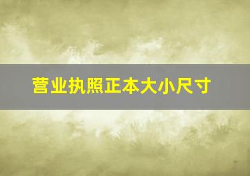 营业执照正本大小尺寸