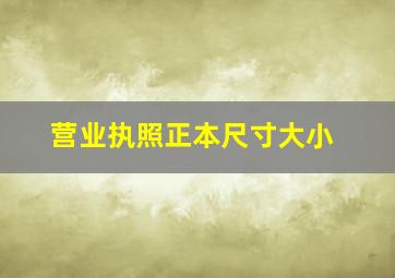 营业执照正本尺寸大小