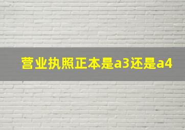 营业执照正本是a3还是a4