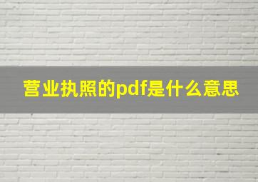 营业执照的pdf是什么意思