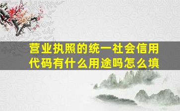 营业执照的统一社会信用代码有什么用途吗怎么填