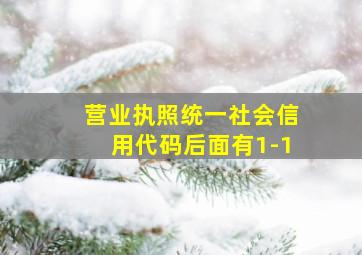 营业执照统一社会信用代码后面有1-1