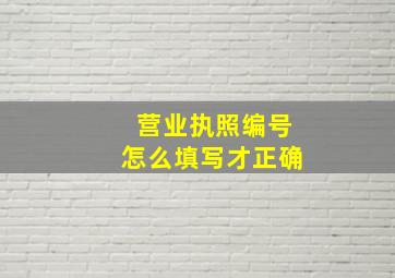 营业执照编号怎么填写才正确