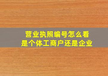 营业执照编号怎么看是个体工商户还是企业