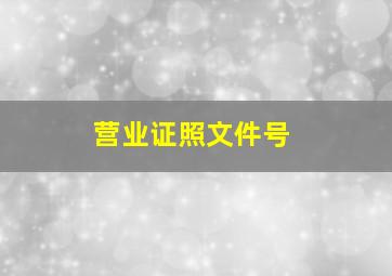 营业证照文件号