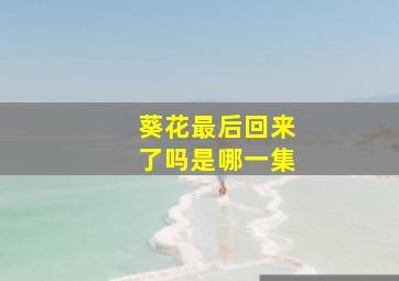 葵花最后回来了吗是哪一集