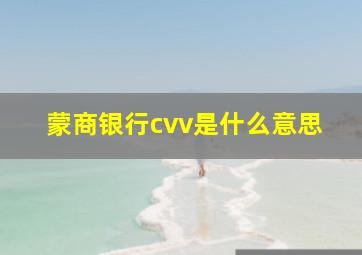 蒙商银行cvv是什么意思