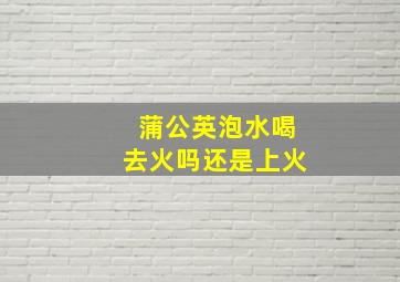 蒲公英泡水喝去火吗还是上火