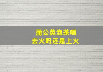 蒲公英泡茶喝去火吗还是上火