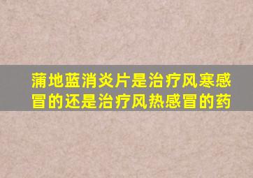 蒲地蓝消炎片是治疗风寒感冒的还是治疗风热感冒的药