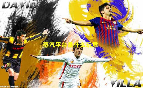 蒸汽平台是什么玩意