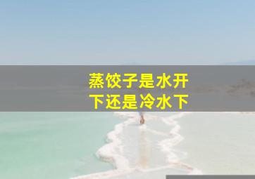 蒸饺子是水开下还是冷水下