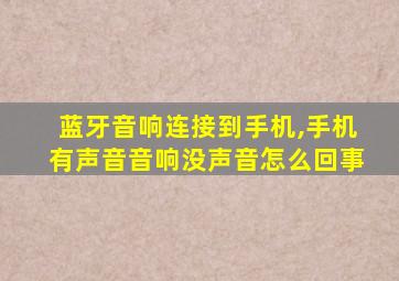 蓝牙音响连接到手机,手机有声音音响没声音怎么回事