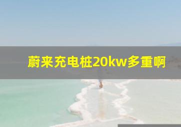 蔚来充电桩20kw多重啊