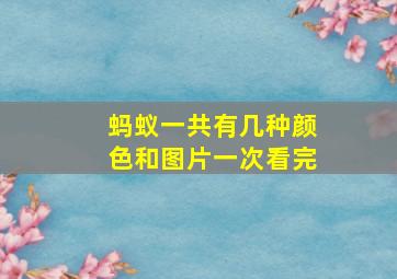 蚂蚁一共有几种颜色和图片一次看完