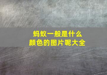 蚂蚁一般是什么颜色的图片呢大全