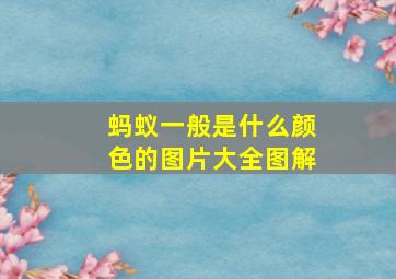 蚂蚁一般是什么颜色的图片大全图解