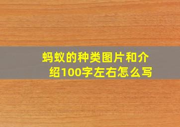 蚂蚁的种类图片和介绍100字左右怎么写