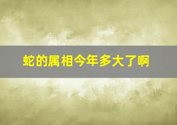 蛇的属相今年多大了啊