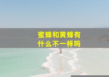 蜜蜂和黄蜂有什么不一样吗