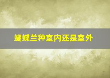 蝴蝶兰种室内还是室外