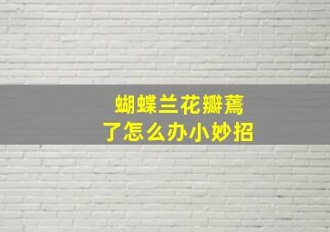 蝴蝶兰花瓣蔫了怎么办小妙招