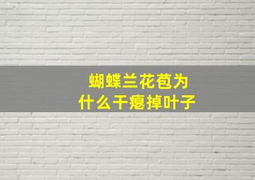 蝴蝶兰花苞为什么干瘪掉叶子