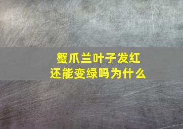 蟹爪兰叶子发红还能变绿吗为什么