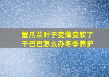 蟹爪兰叶子变薄变软了干巴巴怎么办冬季养护