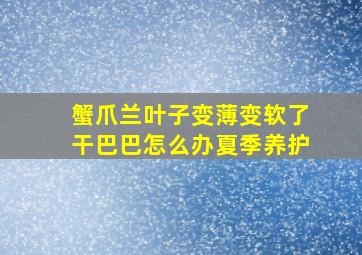 蟹爪兰叶子变薄变软了干巴巴怎么办夏季养护