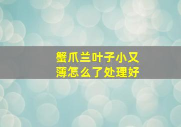 蟹爪兰叶子小又薄怎么了处理好