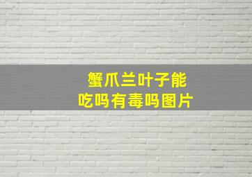 蟹爪兰叶子能吃吗有毒吗图片