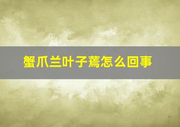 蟹爪兰叶子蔫怎么回事