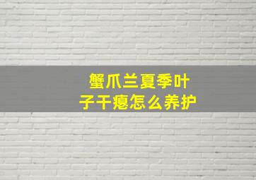 蟹爪兰夏季叶子干瘪怎么养护