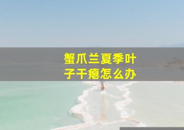 蟹爪兰夏季叶子干瘪怎么办