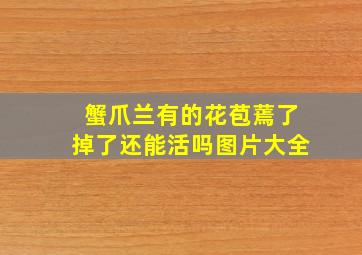 蟹爪兰有的花苞蔫了掉了还能活吗图片大全