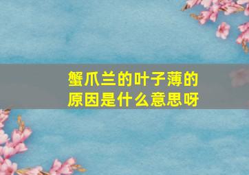 蟹爪兰的叶子薄的原因是什么意思呀