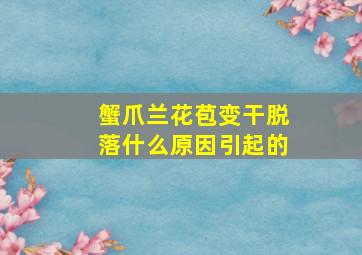 蟹爪兰花苞变干脱落什么原因引起的