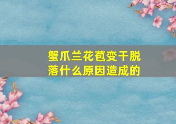 蟹爪兰花苞变干脱落什么原因造成的