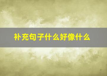 补充句子什么好像什么