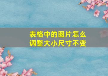 表格中的图片怎么调整大小尺寸不变