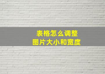 表格怎么调整图片大小和宽度