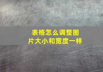 表格怎么调整图片大小和宽度一样