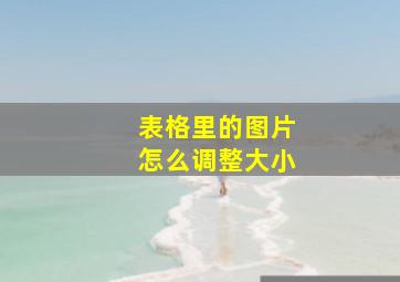 表格里的图片怎么调整大小