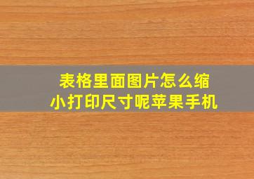 表格里面图片怎么缩小打印尺寸呢苹果手机