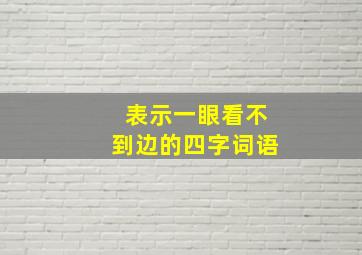 表示一眼看不到边的四字词语