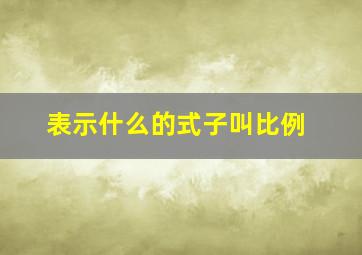 表示什么的式子叫比例