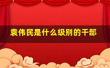 袁伟民是什么级别的干部